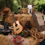 украшение интерьера в стиле дикого запада