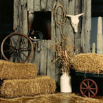 оформление зала на вечеринке дикого запада