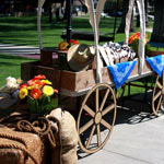 игры дикого запада