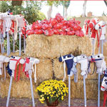 детские игры - дикий запад